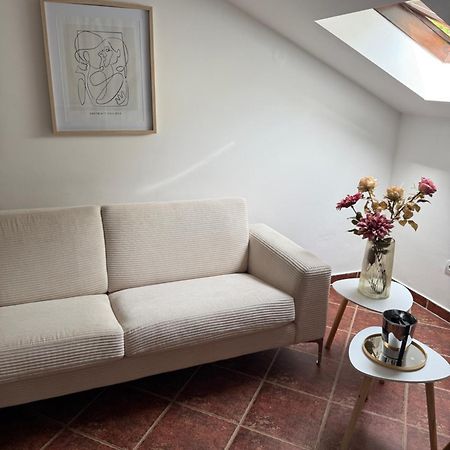 קוטור Apartment Damjan מראה חיצוני תמונה