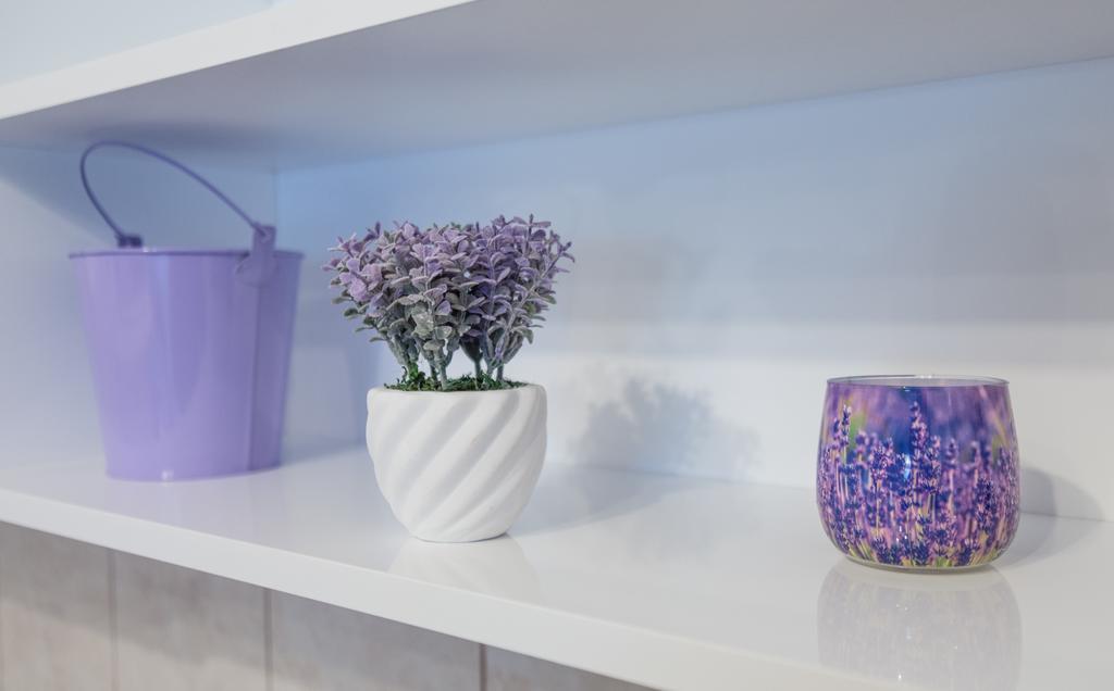 קוטור Apartment Damjan מראה חיצוני תמונה